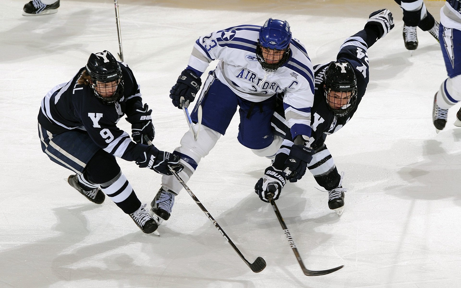 黄蜂蛰伏终亮刺，F1新赛季揭幕战焦点战背后的团队压制哲学