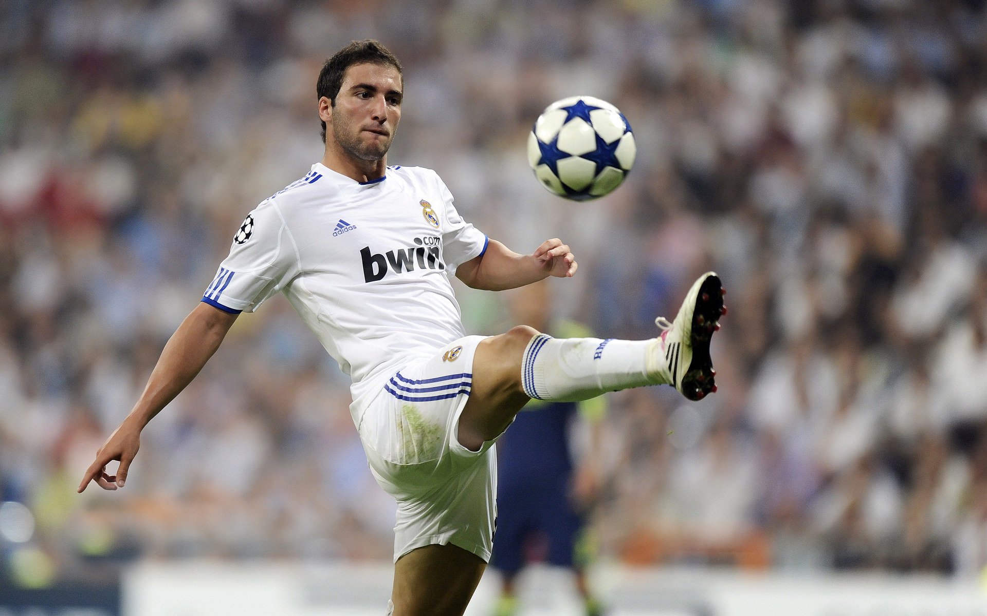 拉梅洛冠军级表现闪耀北岸花园,凯尔特人鏖战森林狼捍卫主场