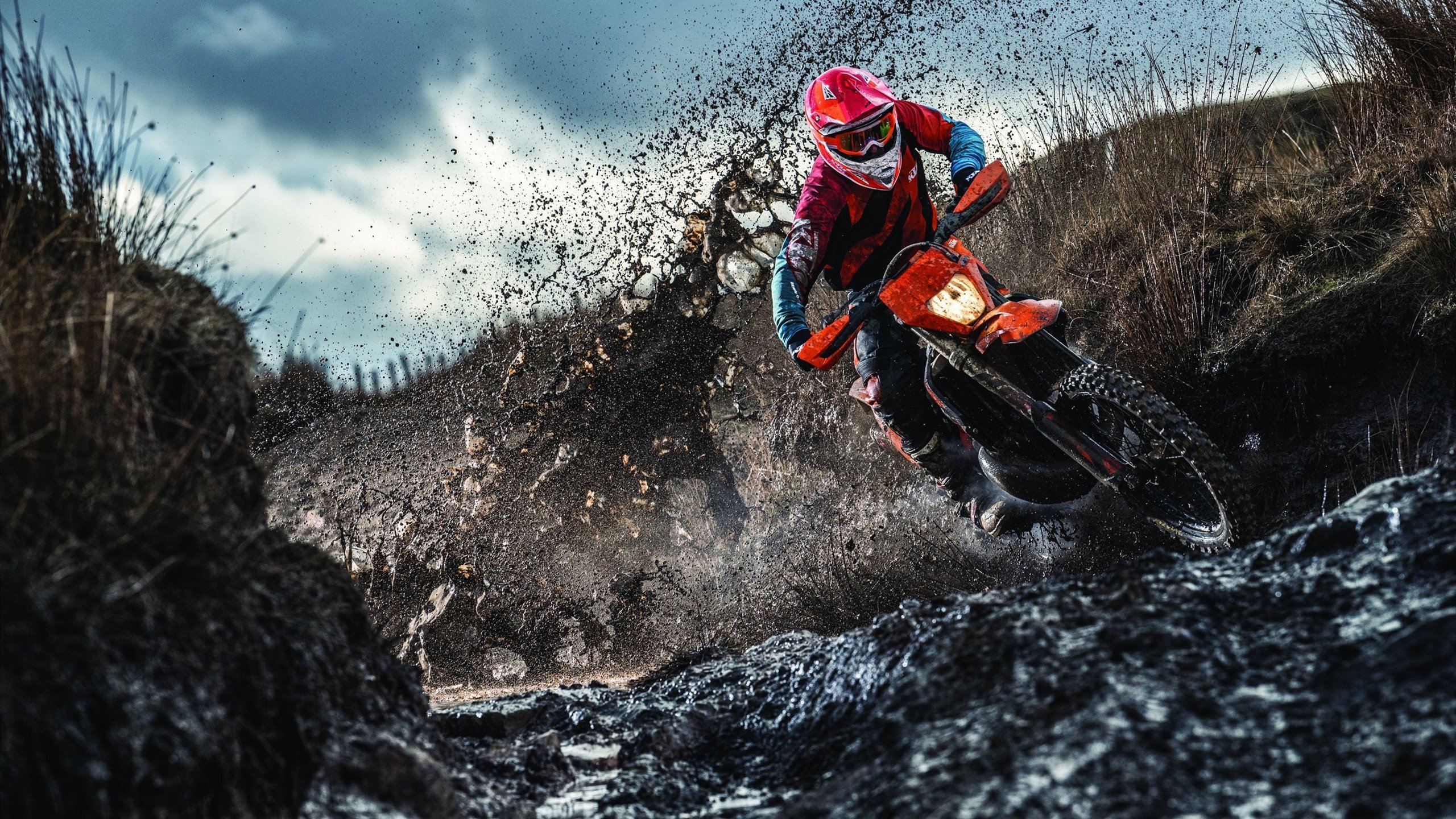 森林狼踏平北京队，伦纳德在F1新赛季揭幕战接管比赛